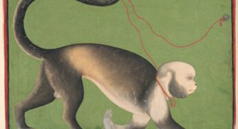 A Monumental Portrait of a Monkey